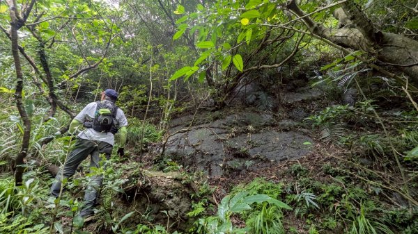 114.06.08門牙岩之O型2806627