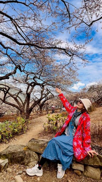 🌈1/17（六）蔡家古厝賞梅×梅子夢工廠×車埕老街✨FB：熊熊趴爬走🌈2983934