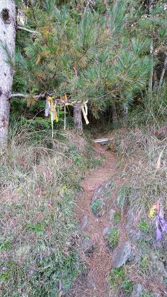 武法奈尾山1946744