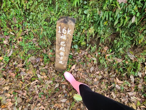 巴福古道21.5k(巴陵端至檜山叉路口往返)1988902