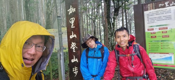 20230730 苗栗加里山午後雷陣雨篇（中級山小百岳）2235174