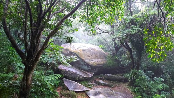 〔貢寮〕草嶺古道2335071