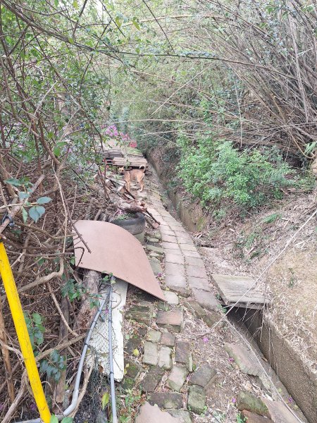 頭份鹿廚坑健行步道2734326