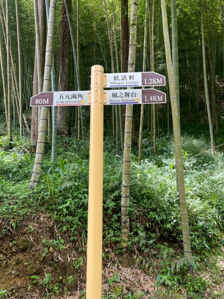 嵐山再古坑。五元兩角 木馬古道2806140