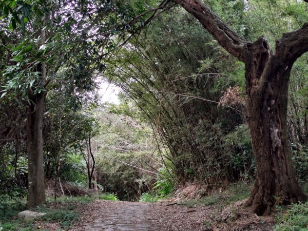 【新竹縣芎林鄉】文林古道2833068