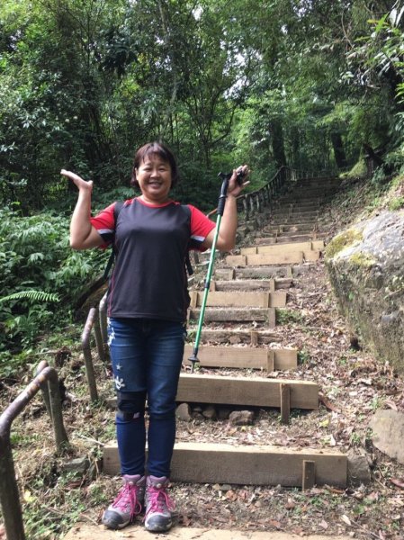 特富野古道賞舊鐵道479703