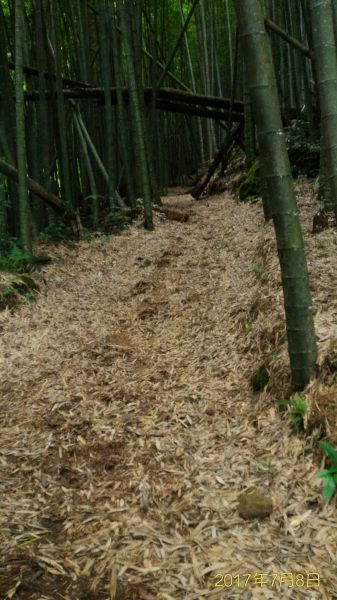 嘉南雲峰，石壁山，好望角142631