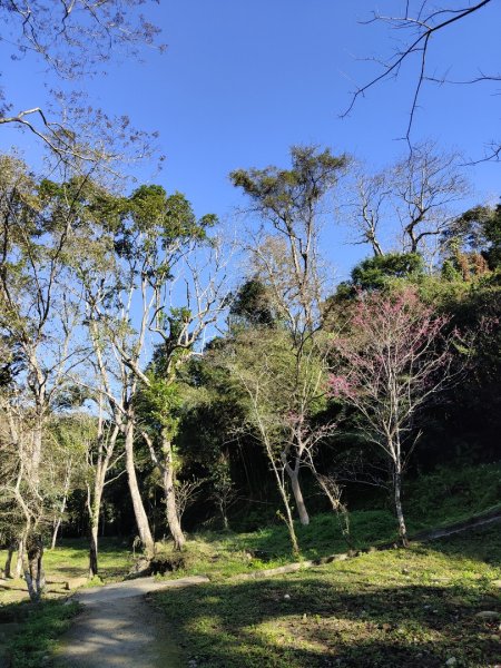 2024.02.12 高遶溪古圳步道2844445