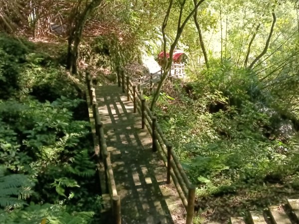 汐止區白雲古道+白雲寺O型2911963