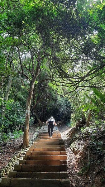 《新竹》青青石階｜娥眉藤坪步道及萬佛庵步道202509132883890