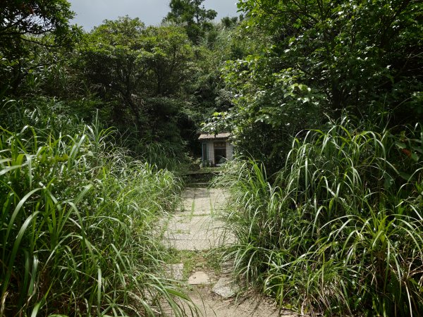[淡蘭古道] 2026_0531 北路第一段_燦光寮古道(中)-陡坡3070890