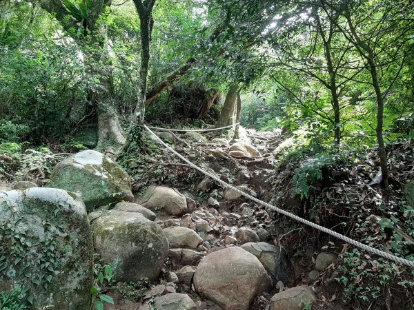 陽明山西段縱走+七星二連峰1091126