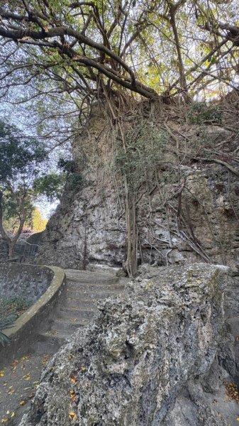 尋仙、鑽洞、啖肥雞3002770