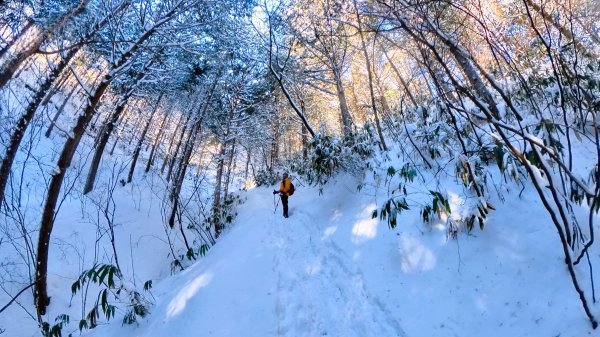 超綺麗夢幻的粉雪奇緣山行記在日本名古屋南沢山2781215