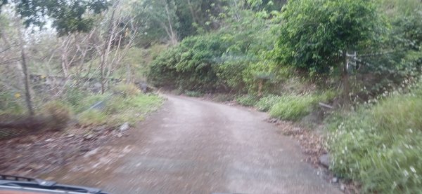 2025 4/5 加奈美山2754439