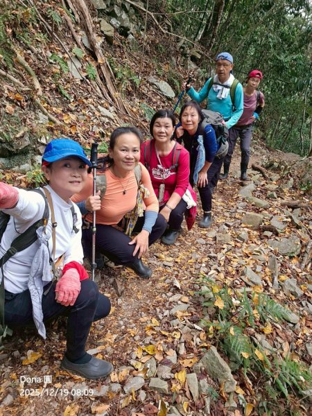 20251219八仙山+佳保台山(谷關三雌)2974423