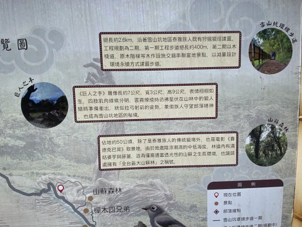 《雪山坑登山步道｜巨人之手森林秘境 Xueshankeng Hiking Trail & Giant2971049