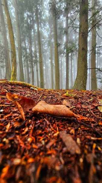 112.04.08 油羅山2123593