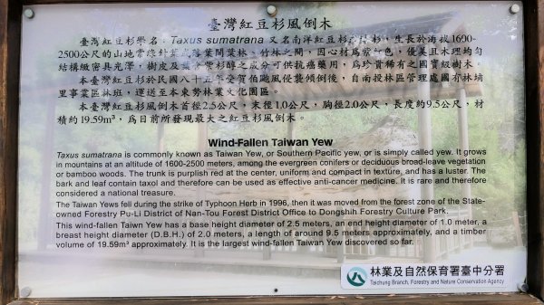 東勢林業文化園區2647961