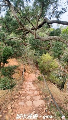 【苗栗三義】台灣百大必訪步道。 火炎山、南鞍古道O繞x火炎山下花海2954155