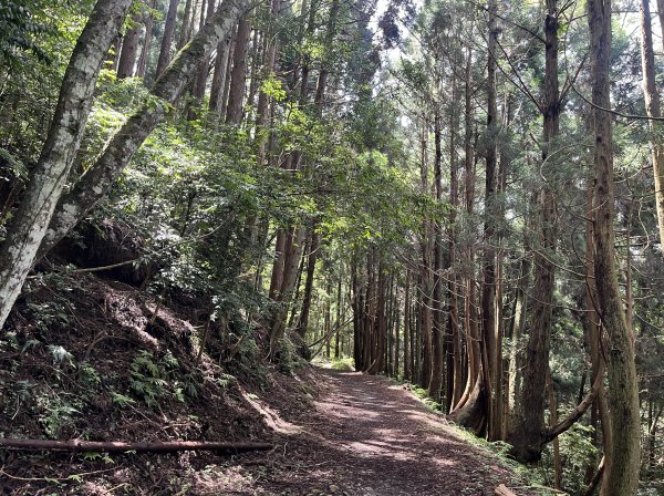 2025_0622 霞喀羅國家步道(石鹿端)2819533