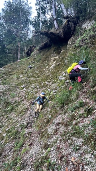 太平山運材軌道見晴線2588847