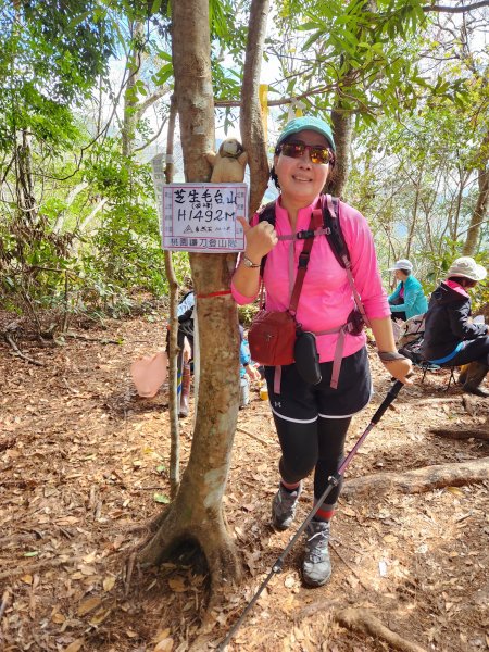 112/2/11芝生毛台山、屯野生炮台2148096