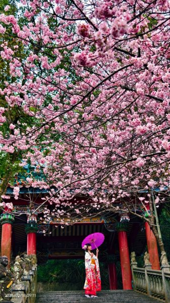 內湖碧山巖 2/182714800