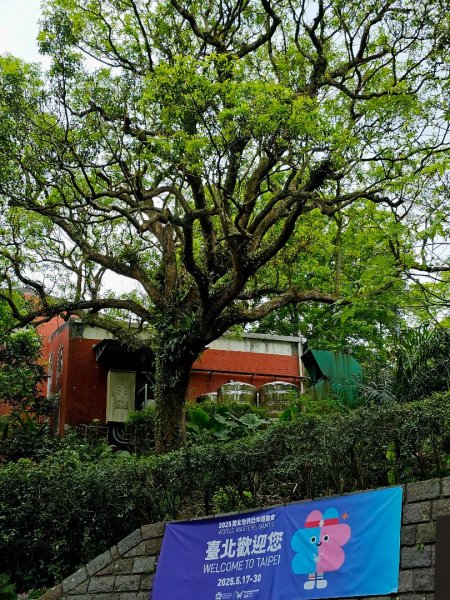 2025年臺北大縱走第七段：世界山莊至飛龍步道政大後山2757374