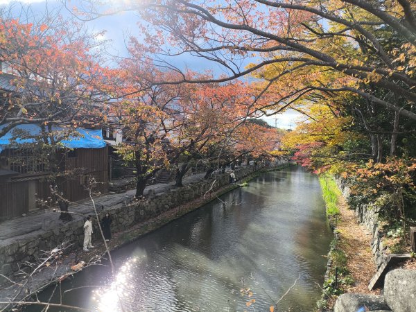 【日本健行】岡山、彥根 (近江八幡、彥根城)、姬路(書寫山圓教寺、世界遺產姬路城、好古園)2946487