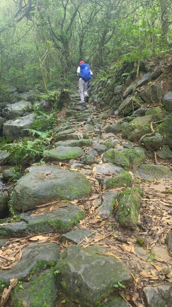 2025-01232淡蘭古道北二段(燦光寮古道到澳底)2696618