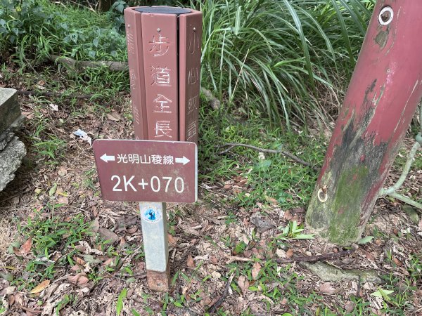 [微笑山線_第二段] 2025_0720 大棟山系_百年大榕樹2843325