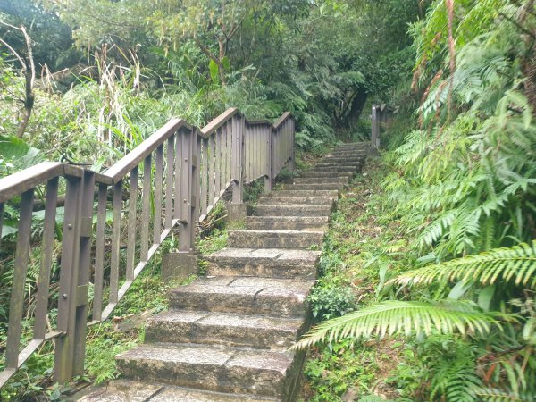 臺北大縱走第六段1516082