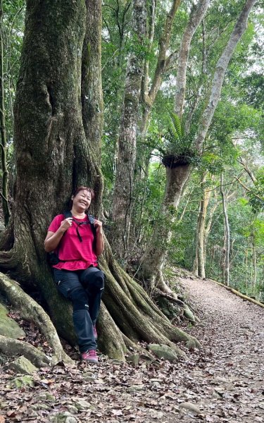 馬那邦山（珠湖登山口）2933962