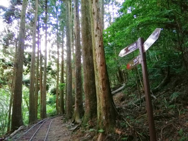 苗栗南庄～陡上陡下無冷場台灣富士山加里山1086987