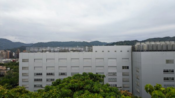 南港四分溪,三重埔埤濕地復育,大坑溪2502957