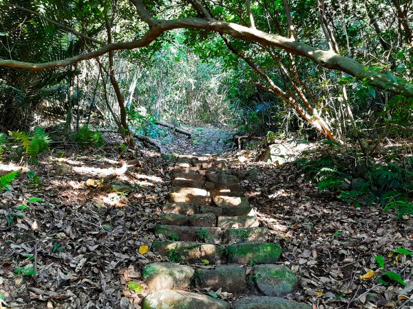 臺北大縱走2：興福寮登山口至小油坑791034