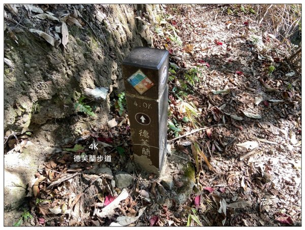 東卯山、東卯山西峰、東卯山西南峰 連走2932830