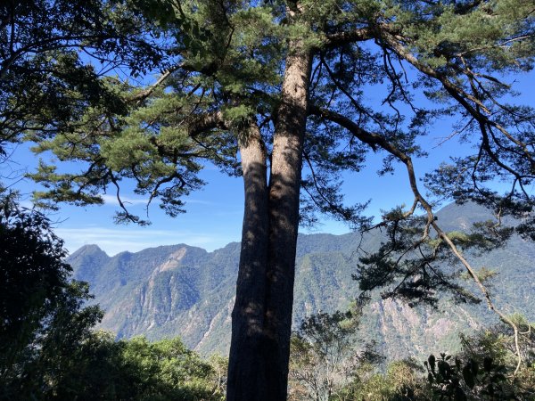 20221120馬崙山2102687