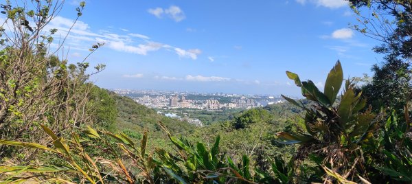 秀才登山步道2936923
