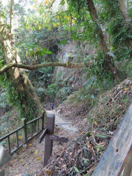 崁頭山(順遊東原老街‧品嚐東山咖啡、東山鴨頭)2086154