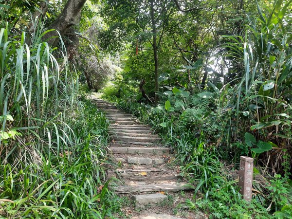 圓通寺烘爐地登山步道1425380