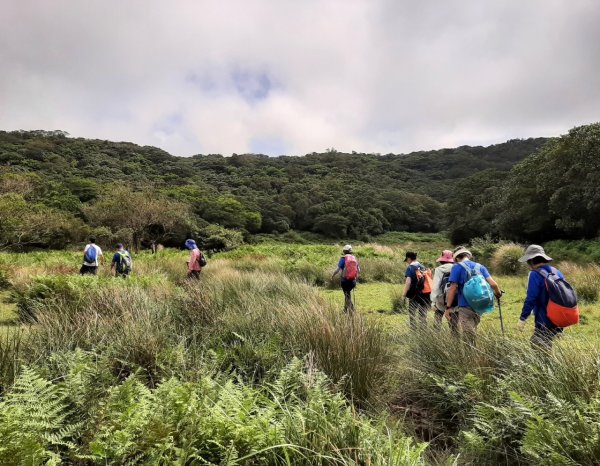 擎天崗→磺嘴山生態保護區→磺嘴山 H912m→翠翠谷→榮潤古道→內雙溪古道→冷擎步道→冷水坑1487612