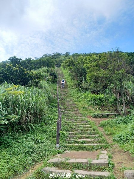 【新北瑞芳】黃金山城好展望。 小百岳基隆山x九份老街2847159
