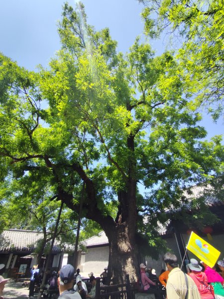 中國山東曲阜孔府、曲阜孔府家宴、濟南銀座購物廣場、濟南雲上天璽大酒店2780716