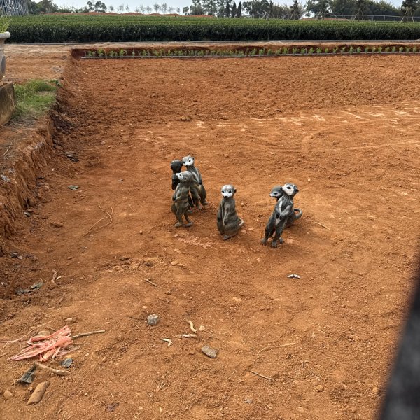 20260118 松柏坑山、田園茶香賞茶步道(小百岳-松柏坑山)2992833