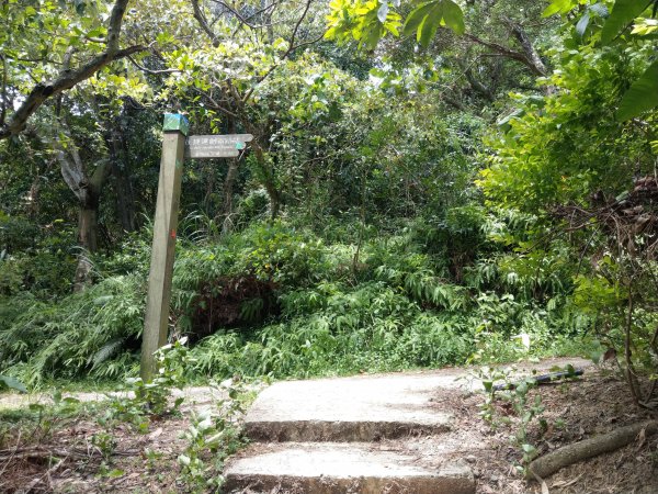 捷運劍潭站→捷運劍南站《劍潭山(小百岳)、老地方觀機平台、雞南山自然園區》1450046