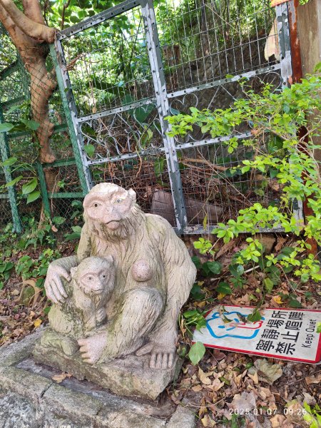 天母→猴洞→半嶺→翠峰步道→翠峰瀑布→天母古道→陽明天主堂2685114