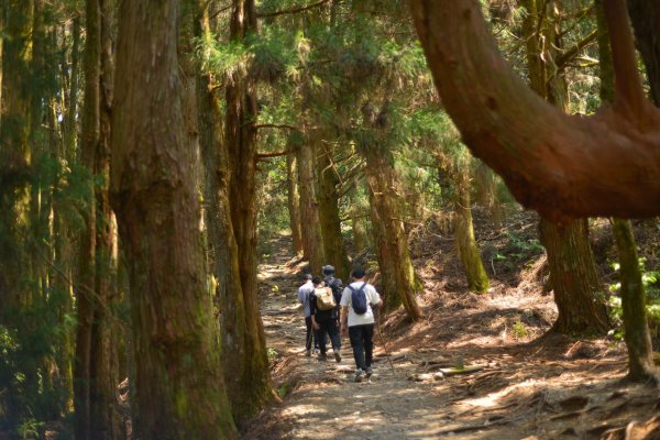 馬崙山步道2085829