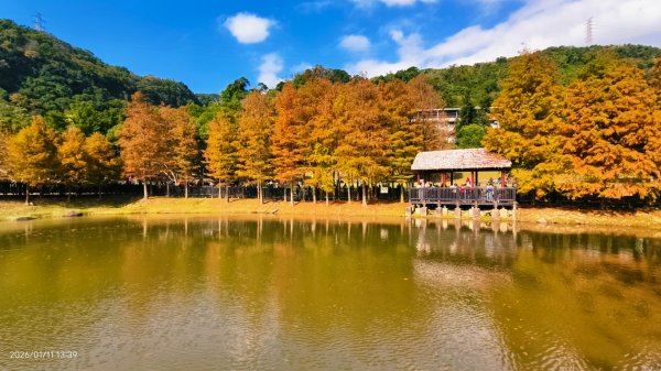 #花卉試驗中心 #永公路500巷 #平菁街42巷 #原住民公園 #士林官邸 1/42980357